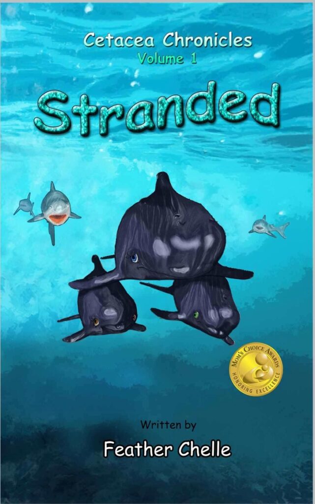 Stranded Book Cover